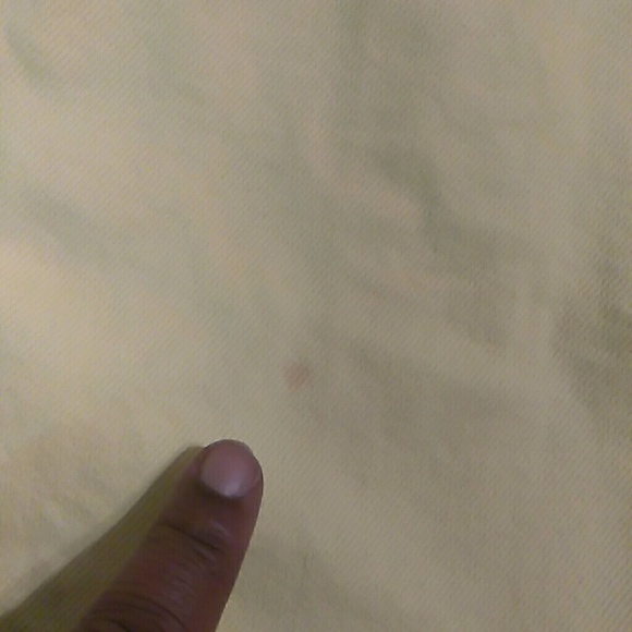 Jacket - Picture 7 of 7